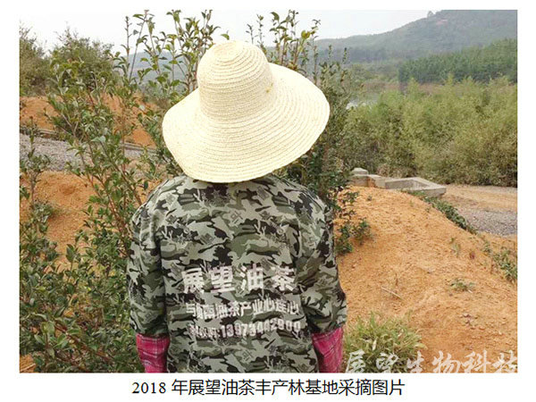 公司實景9